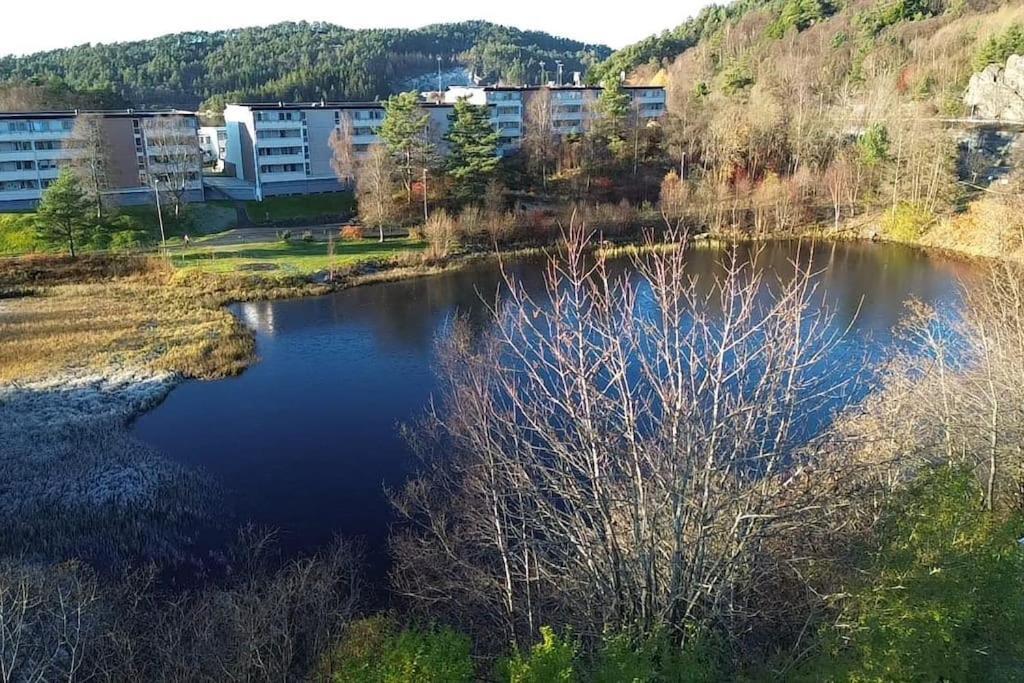 Your Dream Studio In Bergen Exterior photo